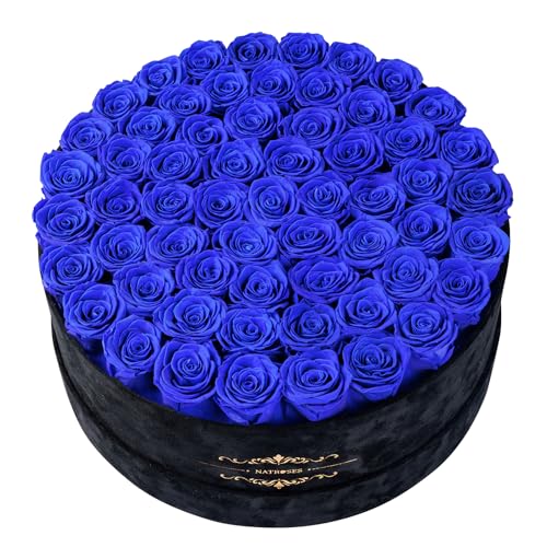 Gifts for Women – NATROSES 60 Preserved Roses in Luxury Black Velvet Box, Preserved Flowers for Delivery Gift for Her, Elegant Rose for Birthday, Mother’s Day, Christmas (Royal Blue) - color: Royal Blue, size: 60 Roses