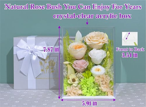 Valley of Rain & Forest Long-Lasting Real Flowers With Delivery | Handcrafted Preserved Rose Bush For You to Send Love for All Occasions, Indoor Floral Decor (Yellow White Roses Arrangement) - color: Champagne Yellow Rose Spring-themed