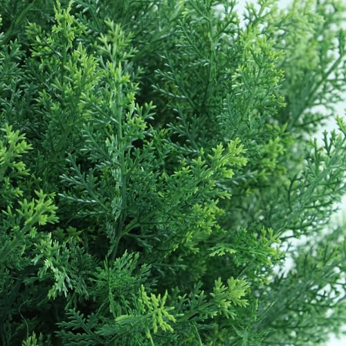 24" Artificial Topiary Boxwood Fake Plants for Indoors & Outdoors | 2 Set of Realistic Faux Cypress Trees with Ground Stakes, Cedar Shrubs for Spring Summer Porch, Patio, Garden Decor - color: Cypress