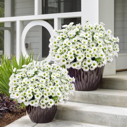 16 Bundles Silk Daisy Artificial Flowers for Outdoors UV Resistant Fake Daisies Plastic Plants Flower for Home Outside Front Door Porch Garden Patio Planters Decoration (White) - color: White