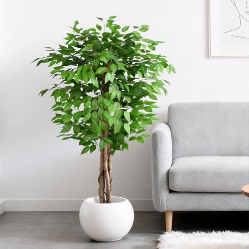 5ft Ficus Artificial Trees with Natural Curved Trunks, 60" Tall Lush Faux Tree for Home Decor Indoor, Green Lifelike Fake Ficus Tree Artificial Plants - size: 5ft