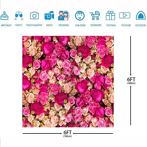 Ticuenicoa 6x6ft Pink Red Rose Flowers Photography Backdrop Valentine's Day Photo Background Baby Shower Wedding Birthday Decoration Bridal Shower Wedding Blossoms Roses Wall Art - size: 6x6ft