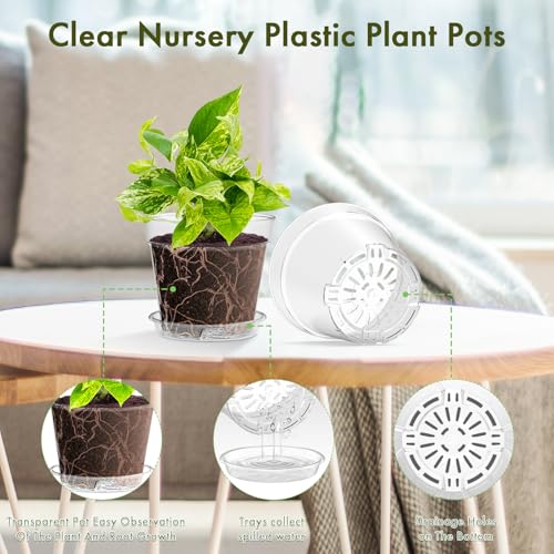WSMKSZ 3 Inch Clear Nursery Pots, 60 Pack Highly Transparent Plastic Seedling Starter Planters with Drainage Holes and Trays for Flowers, Small Plant Pots for Indoor Plants - size: 3inch 60pcs