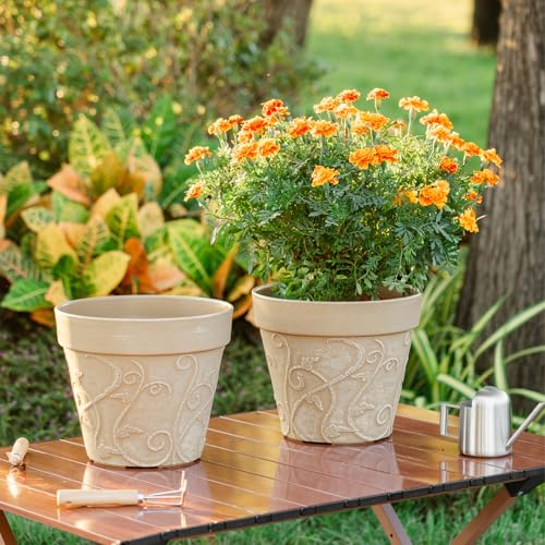 Melphoe Plant Pots Indoor with Drainage & Saucer, 2Pack 10 inch Flower Pots Outdoor Planters for Indoor Plants Garden Home Decor Cactus Succulent, Rigid Plastic (Imitation-Terracotta) Vine-Embossed - color: Undecorated Pottery Color, size: 10''