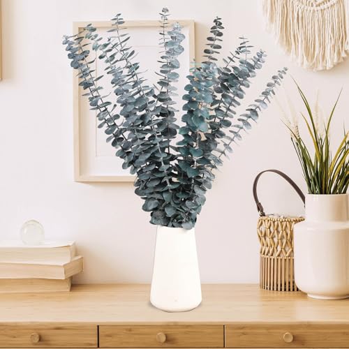 16 Pcs Dried Eucalyptus Stems, 17'' Natural Fresh Eucalyptus Leaves Branches Hanging for Shower, Preserved Real Blue Plant Live for Home SPA Wall Bathroom Wedding Party Vase Decor - color: Blue