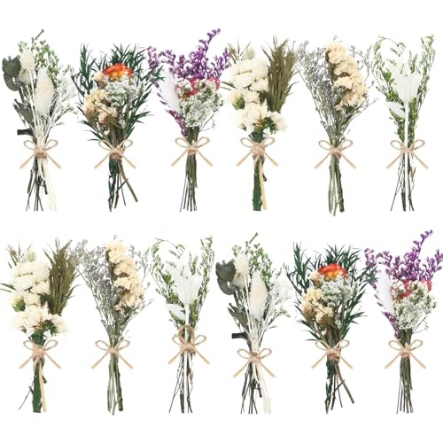 12/24 Pack Dried Flowers for Vase Various Mini Bouquet Dried Small Wildflowers Natural Real Flowers Bulk for Crafts DIY Wedding Decor (12, White) - size: White