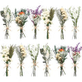 12/24 Pack Dried Flowers for Vase Various Mini Bouquet Dried Small Wildflowers Natural Real Flowers Bulk for Crafts DIY Wedding Decor (12, White) - size: White