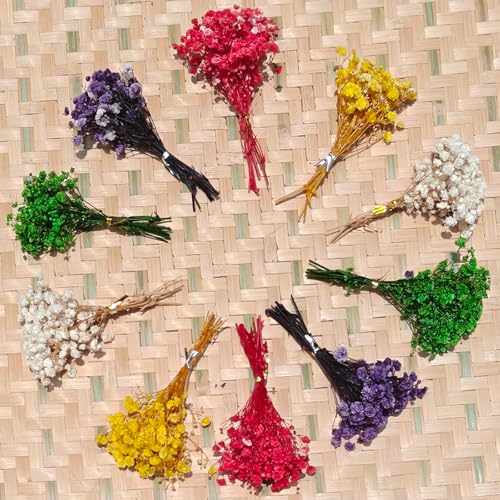 120 Pcs Mini Dried Baby Breath Flowers Gypsophila Ivory Mixed Color Flowers Dried Flowers for Vase Wedding Home Office Party Garden Card Making Decor Wreath Floral Craft DIY Art (Mixed Colors) - color: Mixed Colors