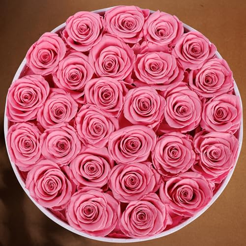 Prifroti 27 Flowers in a Luxury Suede Box, Birthday Gifts for Women, Preserved Flowers, Mothers Day Roses Gift for Mom, Light Pink - color: Light Pink, size: 27 Roses