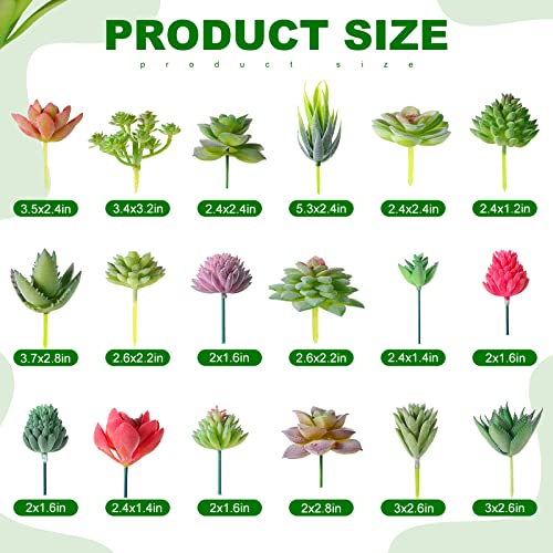 WILLBOND 50 Pcs Bulk Mini Artificial Succulents Plants Assorted Unpotted Realistic Plants Fake Textured Succulent Picks Realistic Plastic Cactus Stems for Succulent Garden Home Decor (Normal Style) - color: Normal Style