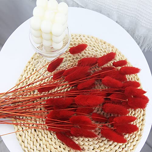 60pcs Dried Bunny Tails Flowers Red Pampas Grass Natural Dried Floral Arrangement Dry Flowers for Christmas Halloween Boho Decor Home Wedding DIY Craft Decoration (16")… - color: Red
