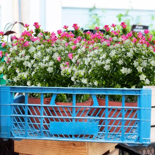 24 Bundles Artificial Flowers Fake Boxwood Shrubs UV Resistant No Fade Faux Greenery Faux Plastic Lotus for Home Garden Hanging Planter Indoor Porch Patio Office Wedding Decoration(Off-White) - color: Off-white