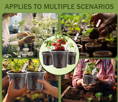 30 Packs Clear Nursery Pots for Plants, 3.5/4/5 Inch High Transparency Plastic Seedling Plant Pot with Drainage Holes, Includes 20 Labels - size: 3.5/4/5 in-30p