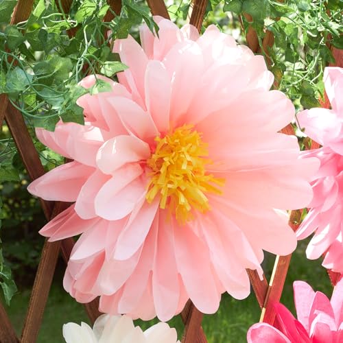 Pink Paper Flowers 6 Pcs, 10 Pcs 20 Inch Large Paper Flowers for Pink Party Decorations, Girl Women Birthday Decorations, Tissue Paper Flower Decoration for Backdrop, Classroom and Wall Decor - color: Pink
