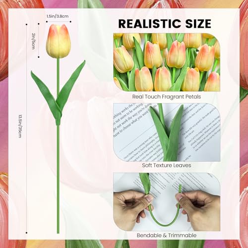 30 PCS Artificial Tulips Real Touch Tulips 13.5inch Long Stem Fake Flowers Silk Flowers for Spring Easter Mother's Day Decorations（Champagne+Pink） - color: Champagne+pink