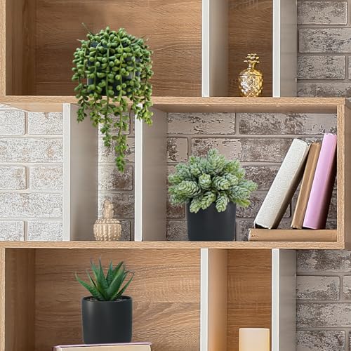Winlyn Set of 3 Small Artificial Potted Succulent Plants Faux Aloe Hops String of Pearls Succulents in Black Cylinder Pots for Gift Home Office Bathroom Indoor Outdoor Table Shelf Windowsill Décor - color: Black Ceramic Pots