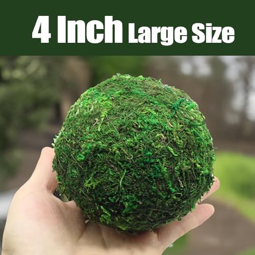 Qingbei Rina Large Green Moss Balls Decorative(4"-Set of 6), 4 Inch Decorative Moss Ball for Bowls, Vase Filler Bowl Fillers for Centerpiece, Handmade Natural Moss Balls,Wedding Party Home Decor