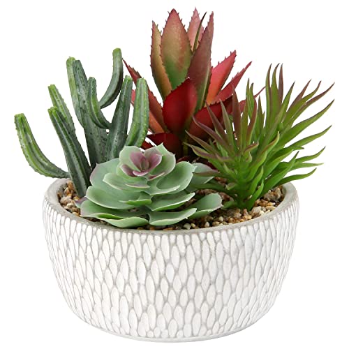 Briful Small Fake Plants Assorted Faux Succulents in Pots Realistic Succulents Plants Artificial with Cement Pots for Home Table Office Desk Bathroom Shelf Living Room Decor - color: Succulent #06