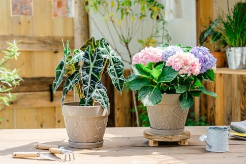 Melphoe Plant Pots Indoor with Drainage & Saucer, 2Pack 7 inch Flower Pots Outdoor Planters for Indoor Plants Garden Home Decor Cactus Succulent, Rigid Plastic (Imitation-Terracotta) Vine-Embossed - color: Undecorated Pottery Color, size: 7''
