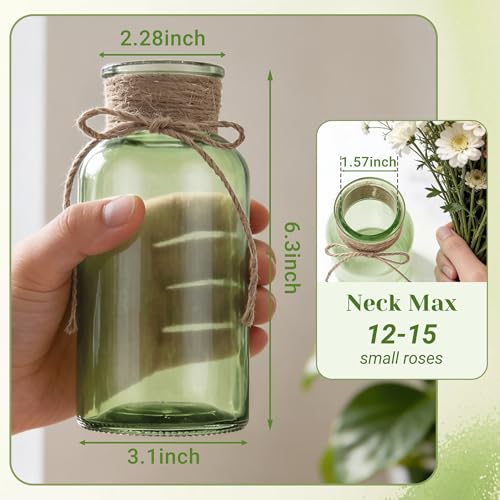 Glass Flower Vases for Centerpieces Boho Cylinder Bud Vases in Bulk Mason Jars for Weddings, Parties & Vintage Home Farmhouse (6, Green) - color: Green