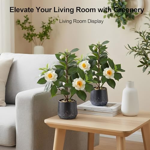 Gresorth 12" Artificial Small Camellia Flowers Tree Potted Fake Plants Bonsai Decoration Realistic Landscape Display for Home Office Table Livingroom 2 Pack - color: A - With Flowers