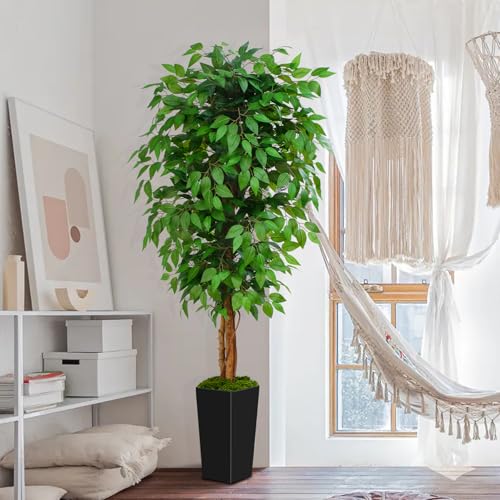 6ft Ficus Artificial Tree with 3 Natural Curved Trunks, 74" Tall Lush Faux Tree for Home Decor Indoor, Green Lifelike Fake Ficus Tree with Black Planter Pot - color: Black Planter, size: 6ft
