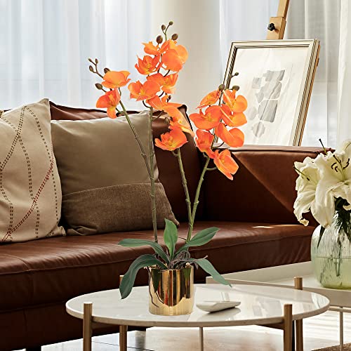 CXGS Artificial Orchid Flower Plant Real Touch Faux Orchids in Ceramic Vase Orange 19.7'' Fake Phalaenopsis Flower Arrangement Centerpiece Home Indoor Decor - color: Orange- Golden