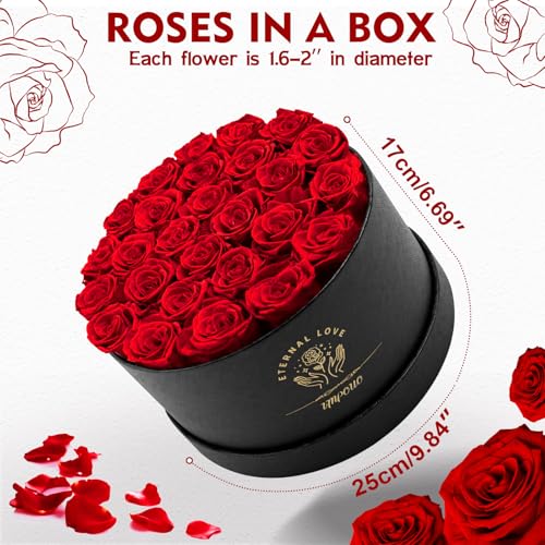 Impouo Forever Flowers, 27 Roses in A Box, Real Preserved Roses, Birthday Gift for Women, Mother's Day, Anniversary, Red Rose (Red, 27 Rose) - color: Red, size: 27 Rose
