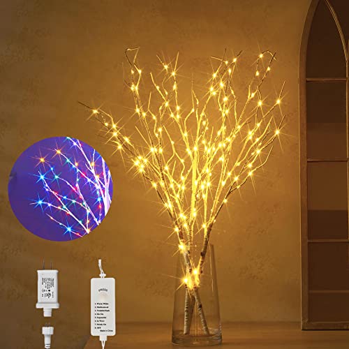 Hairui Lighted Branches 150L 8 Functions Warm White and Multicolor Fairy Lights 30IN for Room Easter Christmas Holiday Decoration - style: White Birch+ Multicolor 1set