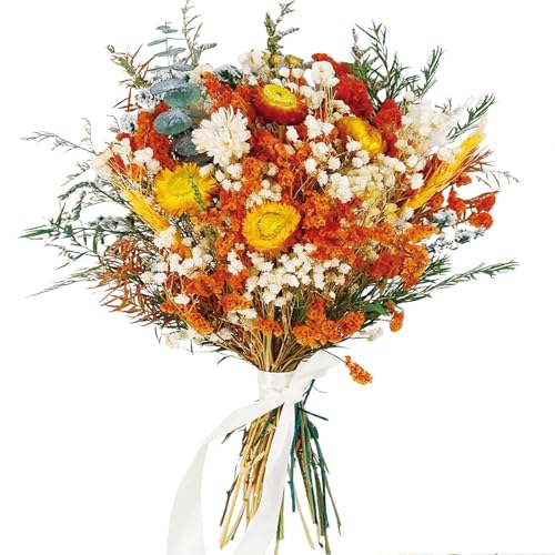 17" Dried Flower Bouquets, 100% Natural Dried Flowers with Dried Daisy,Dried Baby Breath,Chrysanthemum Flowers Decor for Vase Rustic Boho Home Decor,Party Fall Decor - color: Orange Daisy