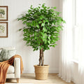 5ft Ficus Artificial Trees with Natural Curved Trunks, 60" Tall Lush Faux Tree for Home Decor Indoor, Green Lifelike Fake Ficus Tree Artificial Plants - size: 5ft