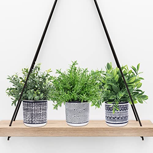 Winlyn Set of 3 Small Potted Plants Artificial Eucalyptus Rosemary Boxwood Plants in Black and White Geometric Pots for Table Centerpiece Kitchen Counter Windowsill Indoor Outdoor Garden Greens Decor
