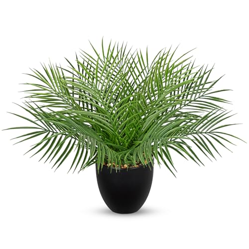 Briful Artificial Palm Plant in Black Pot, 18” Faux Tropical Tabletop Plant with 14 Realistic Leaves, Small Potted Palm Tree for Farmhouse, Coffee Table, Entryway, Bathroom, Shelf & Living Room Decor - color: 18'' Tall Black