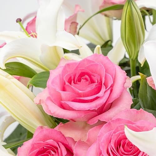 Benchmark Bouquets Oriental Lily & Pink Rose Bouquet – Real Fresh Flowers for Delivery – Mothers Day Flowers for Mom – Long Stem Roses Fragrant Lilies – Gifts for Mom & Mother-in-Law – Vase Included - color: Pink