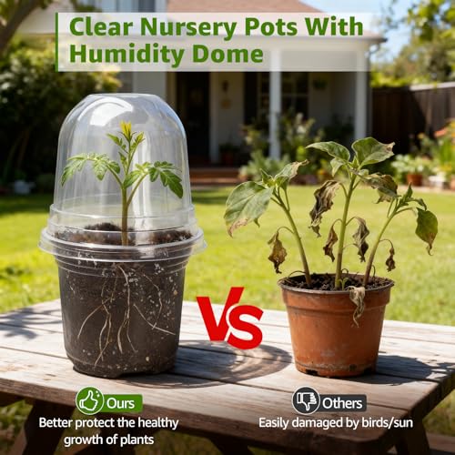 MIXC Clear Nursery Pots with Humidity Domes, 5/4/3.5 Inch Reinforced Transparent Plastic Pots for Planting with Drainage Holes for Seedlings, 30 Pack - color: Transparent, size: 3.5/4/5 Inch-with Lid