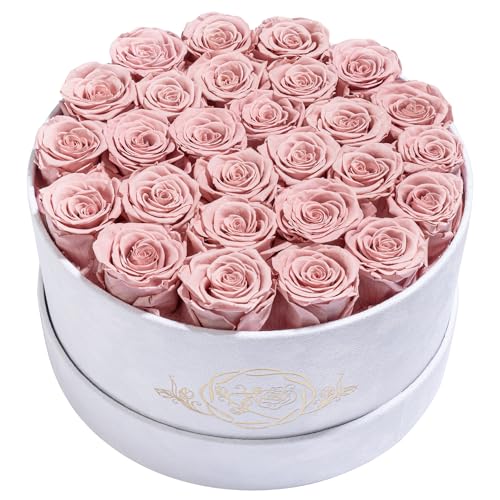 Prifroti 27 Flowers in a Luxury Suede Box, Birthday Gifts for Women, Preserved Flowers, Mothers Day Roses Gift for Mom, Dusty Rose - color: Dusty Rose, size: 27 Roses