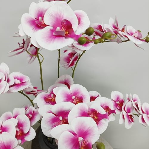 ATFL 8 Pcs 32'' Pink and White Edge Orchid Artificial Flowers Real Touch, Artificial Fake Faux Silk Orchid Stem Bouquets for Wedding Party Home Garden Decor (excluding the Pot) - color: Pink+white Edge
