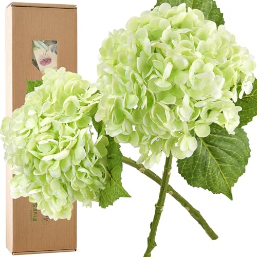 FiveSeasonStuff Real Touch Silk Hydrangea Flowers, 2 Large Long Stem Artificial Flowers for Floral Arrangements (Spring Green) - color: Spring Green (2 Stems)