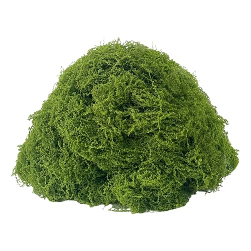 KEYUSHOP Fake Green Moss for Potted Plants 5.3 OZ Preserved Reindeer Moss Craft Decorative Artificial Moss for DIY Decorative Moss Table Centerpieces Decor Wall Art - color: Light Green 5.3 Oz