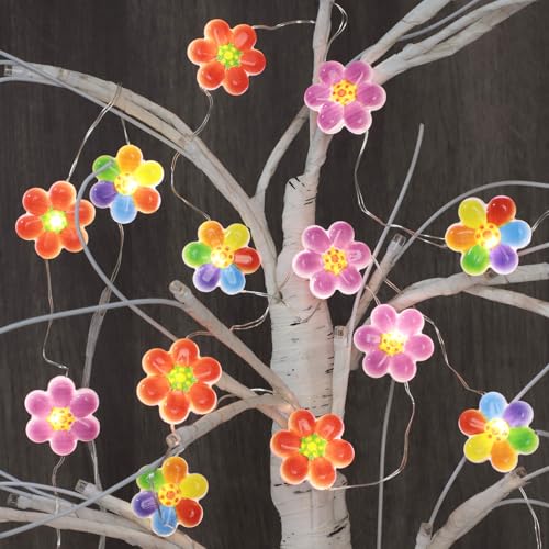 Colorful Flower String Lights 10FT 30LEDs USB & Battery Powered Cute Rainbow Floral Fairy Twinkle Lights with Remote Timer Decorative for Bedroom, Dorm, Girls Room & Christmas Home Decor - style: Flower