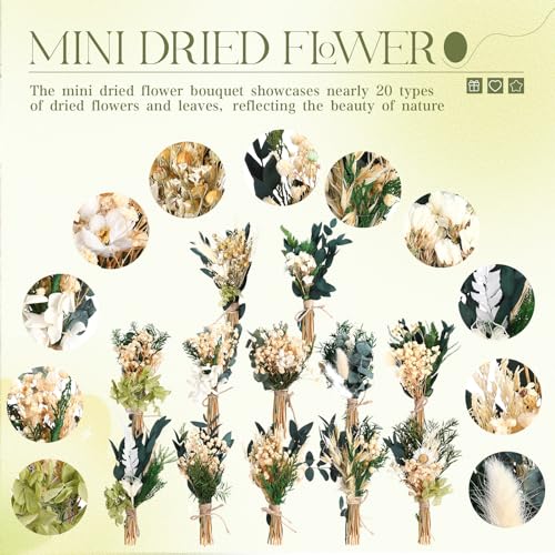 Layhit 12 Pcs Boho Dried Flower Bouquet Mini Wedding Handmade Dry Flowers Decor for Vase Crafts DIY Photo Boutonniere for Men Floral Plant for Bridesmaid Gift Birthday Decor(Fresh) - style: Eucalyptus