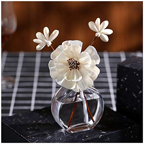 Set of 2 Mini Clear Glass Vase,Small Flower Bud Vase Hydroponics Planter Decorative for Flower,Table,Party,Home,Centerpieces(Clear 4) - color: Clear 4