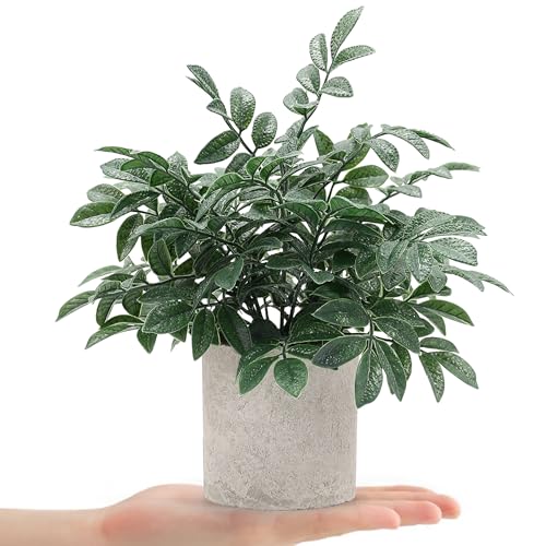 Coferset 2 Pack Small Fake Plants Potted Artificial Herb Plants for Shelf Desk Home Bathroom Farmhouse Room Coffee Table Decor (Gray Green) - color: Gray Green-small