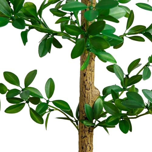 Nearly Natural 5ft Artificial Shady Lady Black Olive Tree - Mediterranean Style Indoor Fake Tree