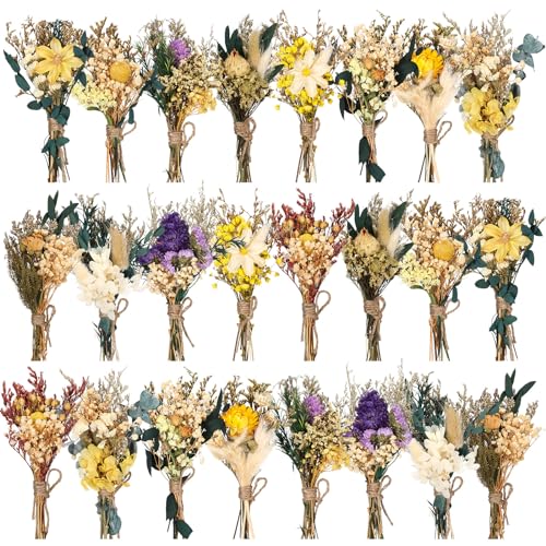 Layhit 24 Pcs Boho Dried Flower Bouquet Mini Wedding Handmade Dry Flowers Decor for Vase Crafts DIY Photo Boutonniere for Men Floral Plant for Bridesmaid Gift Birthday Decor (Vivid) - style: Vivid