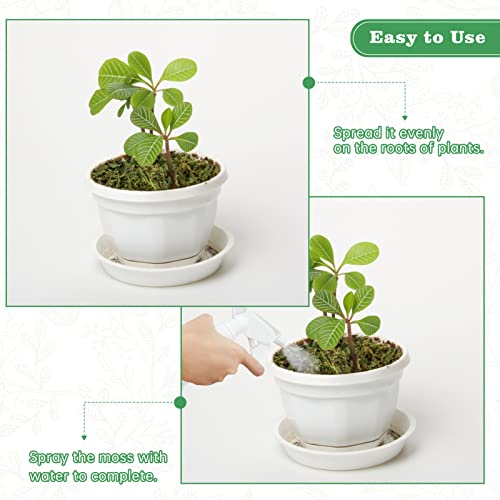 35 OZ Large Capacity Artificial Moss for Potted Plants,Natural Fake Moss Grass for Plants Indoor,Craft and Greenery Bulk for Hamsters(Fresh Green)