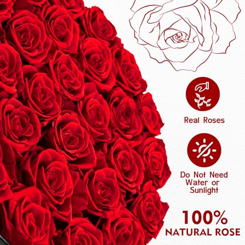 Impouo Forever Flowers, 27 Roses in A Box, Real Preserved Roses, Birthday Gift for Women, Mother's Day, Anniversary, Red Rose (Red, 27 Rose) - color: Red, size: 27 Rose