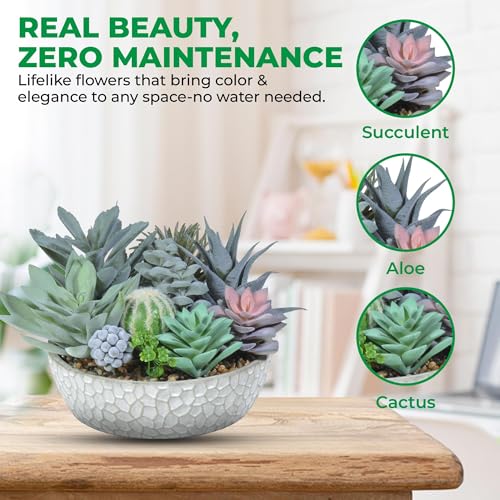 Premium Assorted Artificial Succulent Collection - Large Real Touch Artificial Cactus, Aloe Vera & Succulent Plants Artificial with Pots for Home Office Indoor (Artificial Glass - Pot) - color: Artificial Glass - Pot