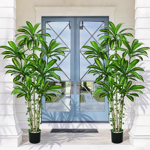 Dolicer 6FT Tall Look Real Artificial Dracaena Tree Indoor with Black Planter, Realistic Artificial Fake Faux Indoor Plants with Natural Trunk and Lifelike Leaves for Home Office Living Room - size: 6FT