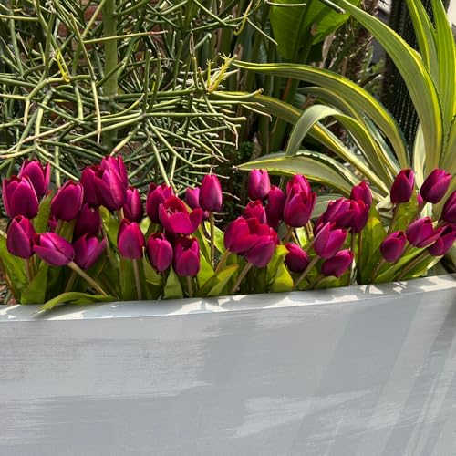 Artificial Fake Flowers Tulip for Outdoor Decoration,UV Resistant Faux Plastic Fabric Greenery Shrubs Plants Fake Flowers Hanging Planter Kitchen Home Garden Wedding Decor (Dark Purple) - color: Dark Purple